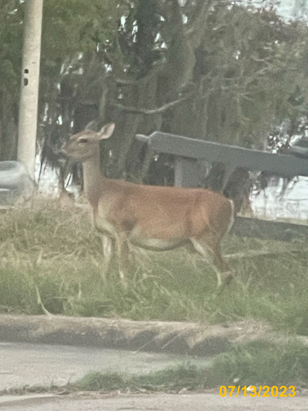 0635