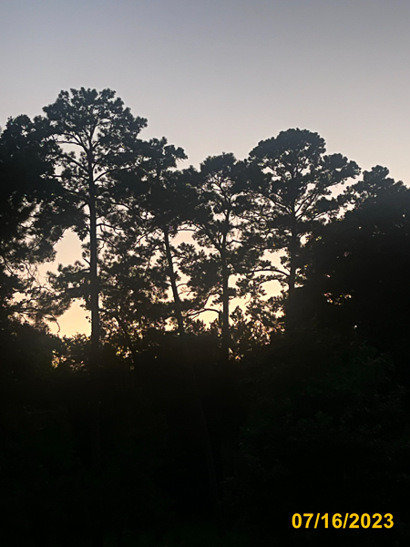 0728