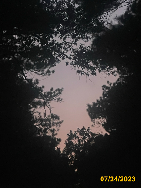 0860