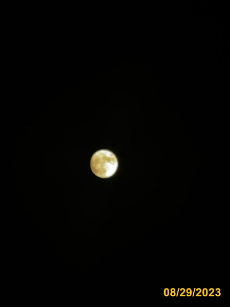 0600