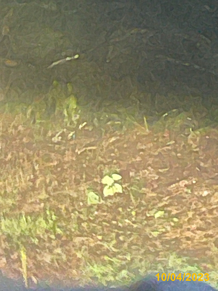 0113