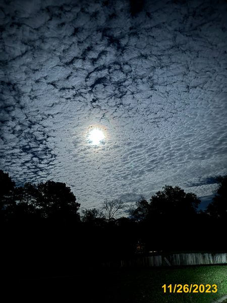 0041