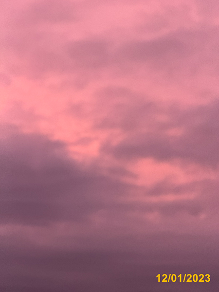 0008