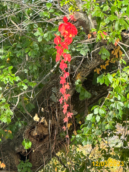 0029
