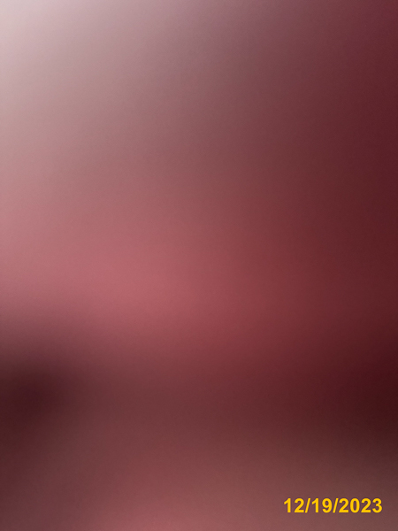 0261