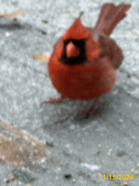 0160