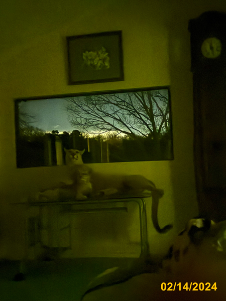 0160