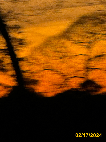 0239