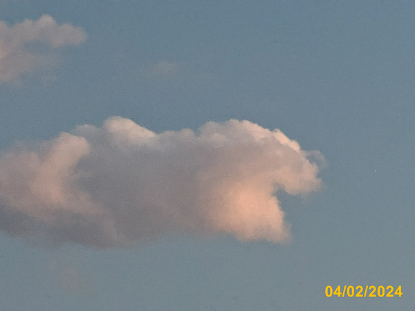 0021