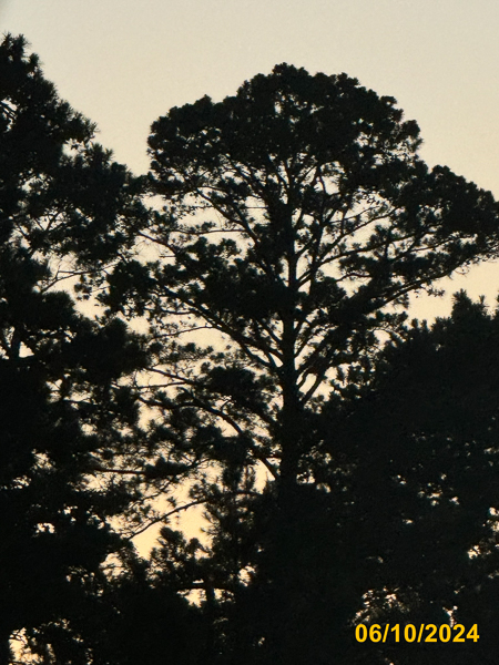 0093