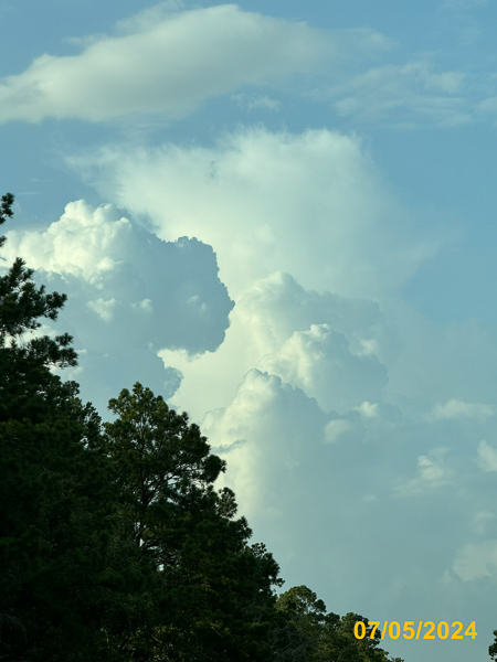 0066