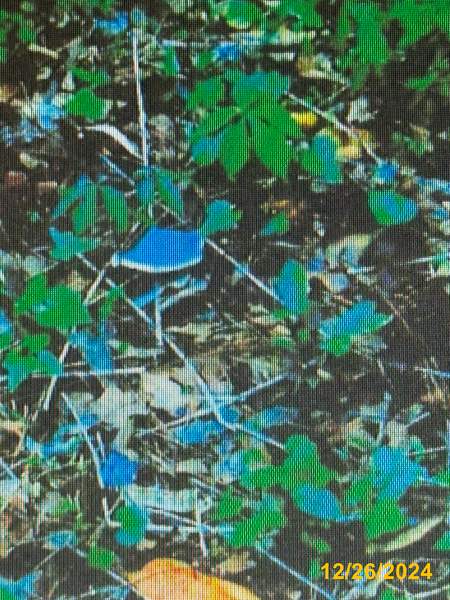 0334