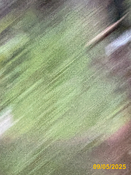 0051