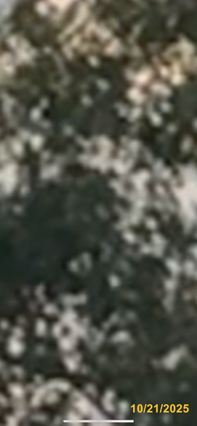 0501