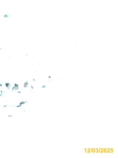 0011