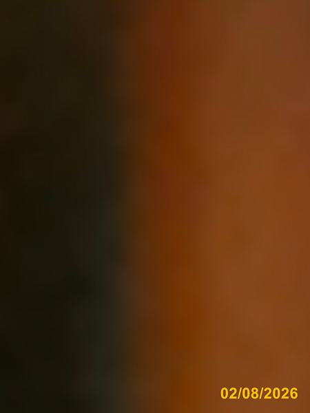 0008