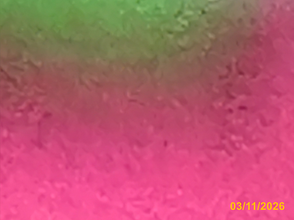0049